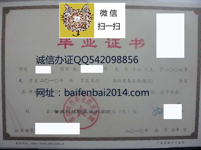 肇庆科技职业技术学院 拷贝.jpg