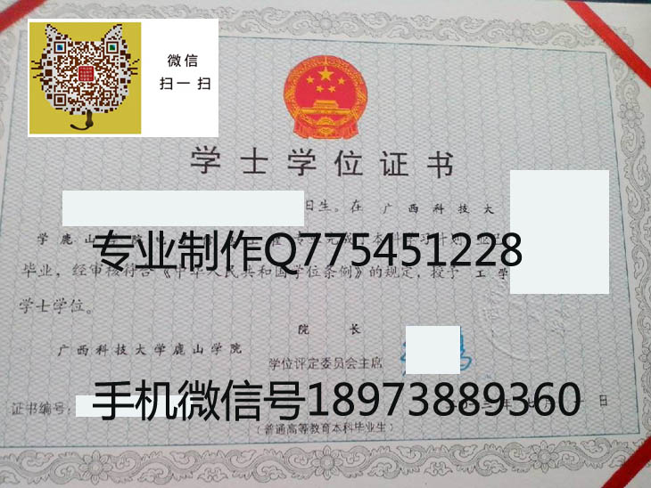 广西科技大学鹿山学院学位2013 拷贝.jpg