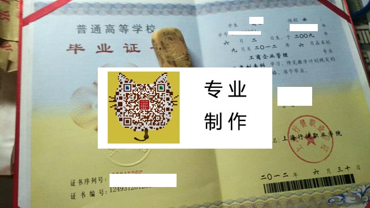 上海行建职业学院 拷贝.jpg