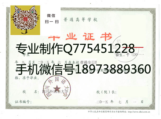 四川外国语大学2015 拷贝.jpg