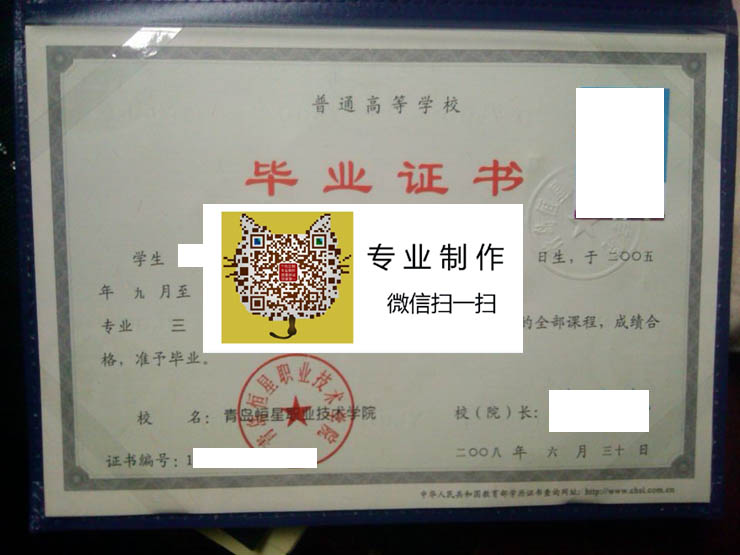 青岛恒星职业技术学院2008 拷贝.jpg 青岛恒星职业技术学院2008 拷贝.jpg