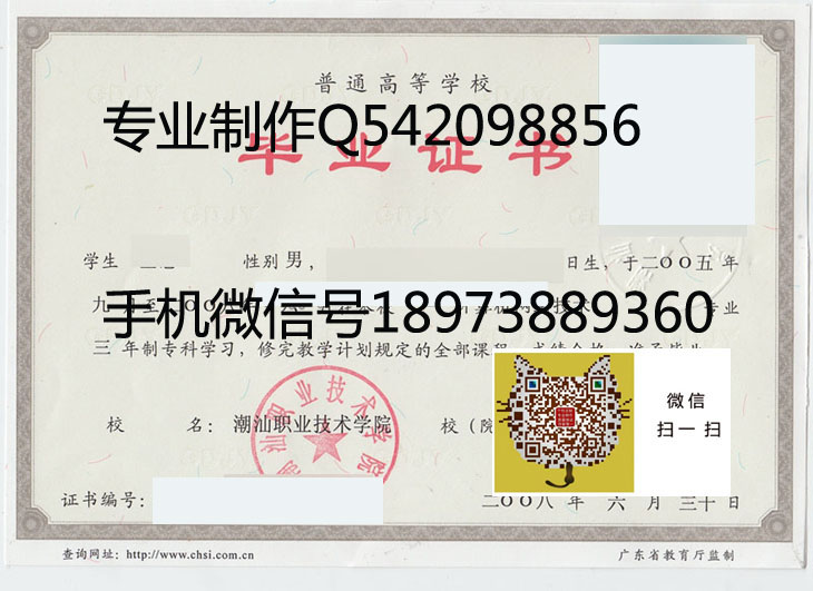 潮汕职业技术学院2008 拷贝.jpg