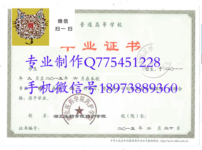 湖北医药学院药护学院2015 拷贝.jpg