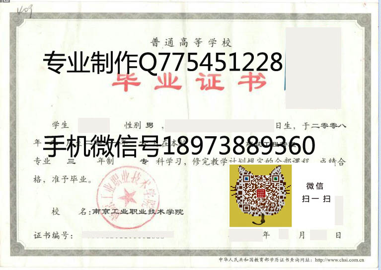 南京工业职业技术学院2011 拷贝.jpg