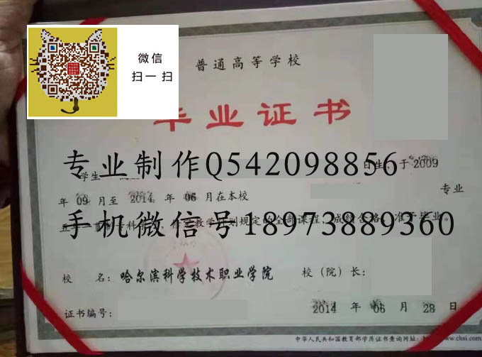 哈尔滨科学技术职业学院2014 拷贝.jpg