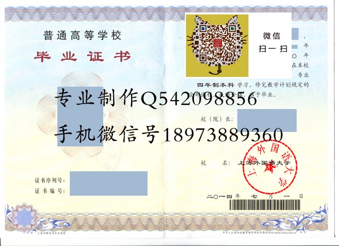 上海外国语大学2014 拷贝.jpg