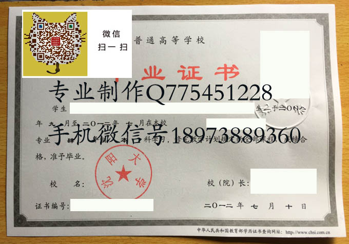 沈阳大学2012 拷贝.jpg