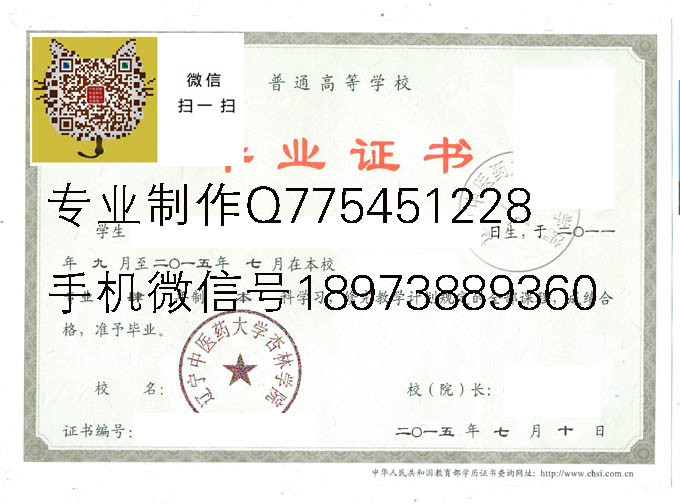 辽宁中医药大学杏林学院2015 拷贝.jpg