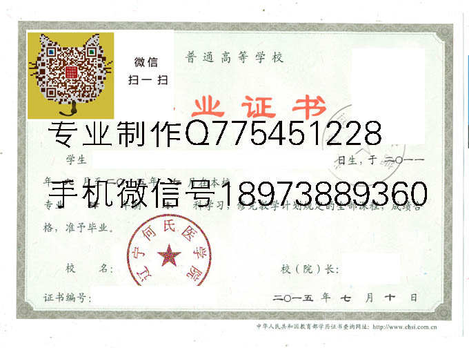 辽宁何氏医学院2015 拷贝.jpg