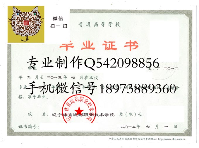 辽宁体育运动职业技术学院2015 拷贝.jpg