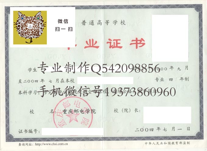 重庆邮电学院2004 拷贝.jpg