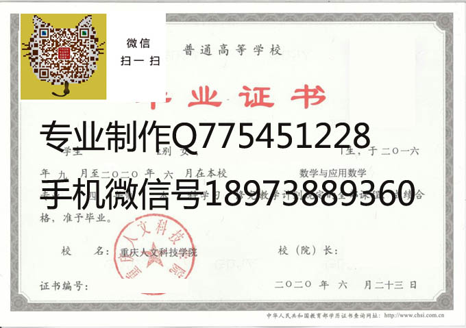 重庆人文科技学院2020 拷贝.jpg