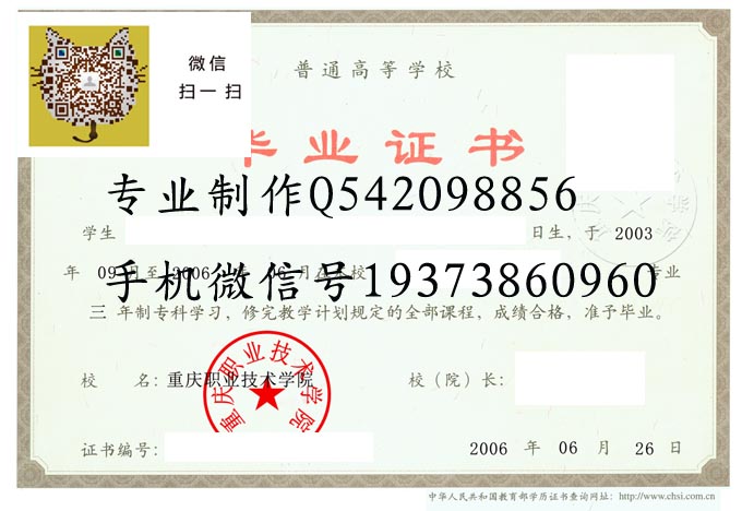 重庆职业技术学院2006 拷贝.jpg