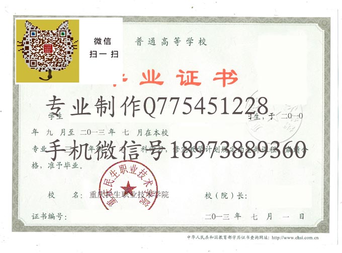 重庆民生职业技术学院2013 拷贝.jpg