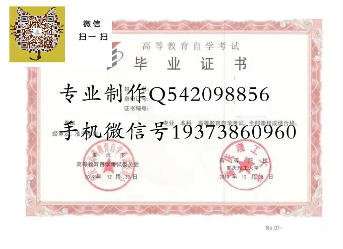 重庆理工大学自考2019 拷贝.jpg